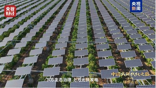 全球約25 新增綠化面積,由中國貢獻