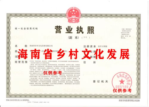 出海南省城鄉 鄉村字號公司,海南省省局核名 先機行業