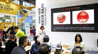 公司動態 最新動態