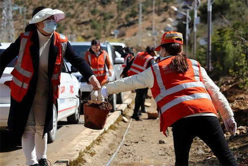 云南 迪慶公路局開展2022年春季義務(wù)植樹活動(dòng)