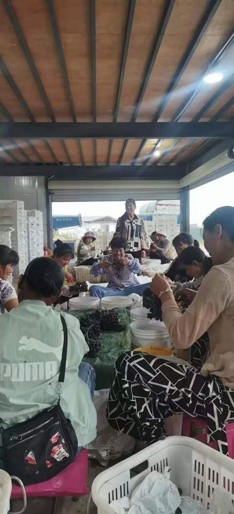 賓川興宏達入選2021年云南省 綠色食品牌 品牌目錄