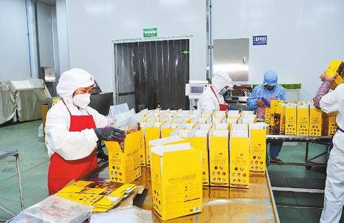 2024云南經(jīng)濟這么干 玉溪增強經(jīng)濟發(fā)展韌性推動質(zhì)量效益提升